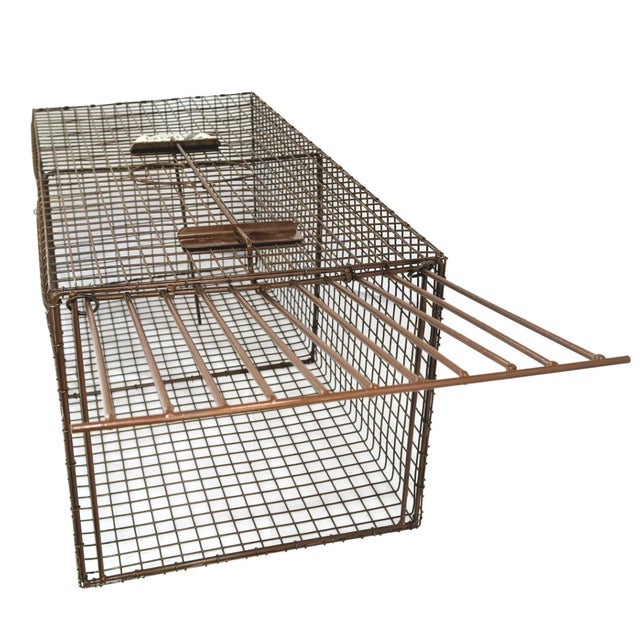 Z-Trap Bobcat Live Cage Trap – TrapShed Supply Co.