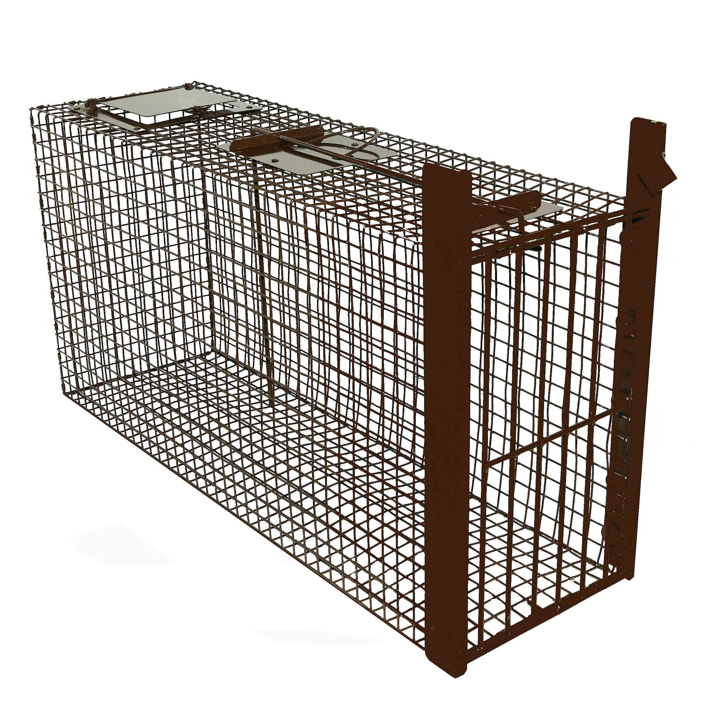 Z-Trap Bobcat Live Cage Trap – TrapShed Supply Co.